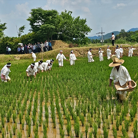 [성악열전] 순창농요 금과들소리 섬네일 파일